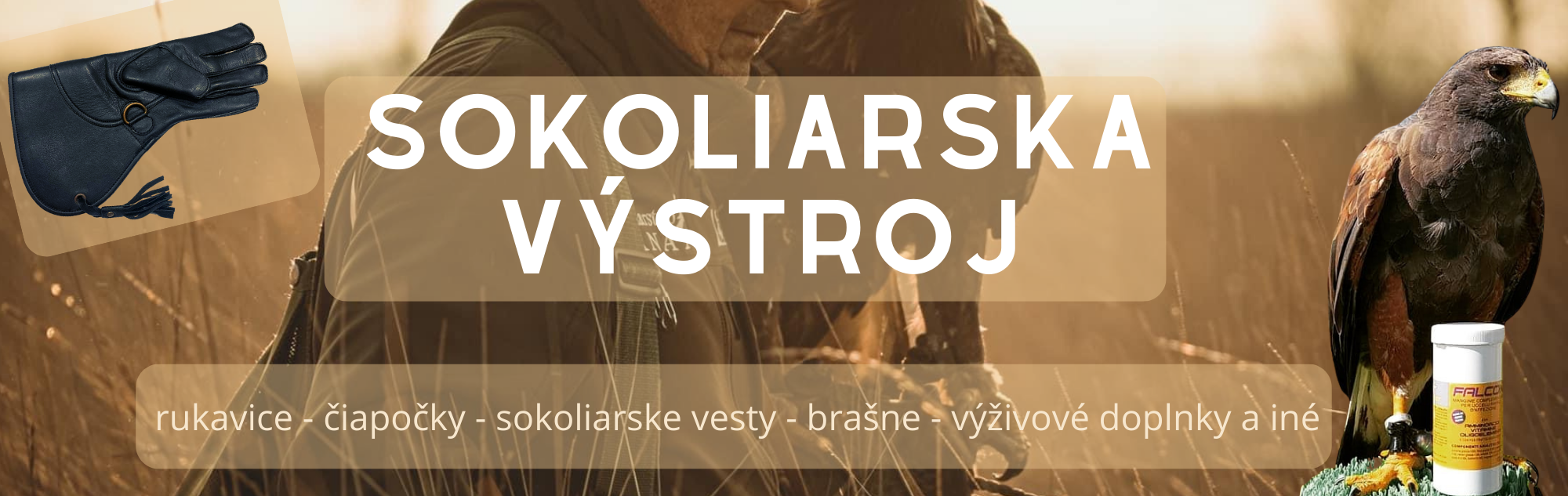 Sokoliarska výstroj